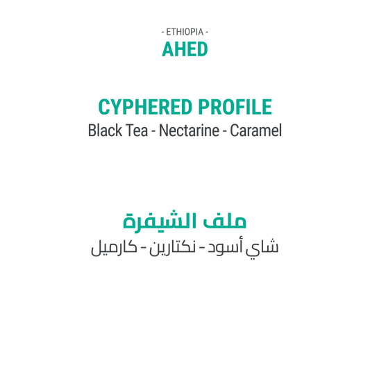 Ahed - Ethiopia - Cypher Urban Roastery