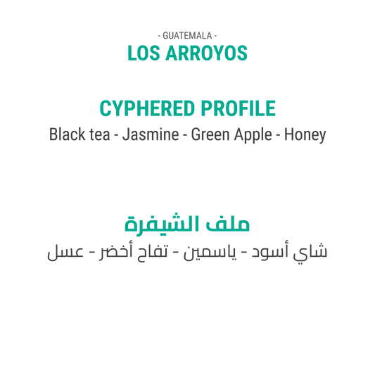 Los Arroyos Geisha - Guatemala