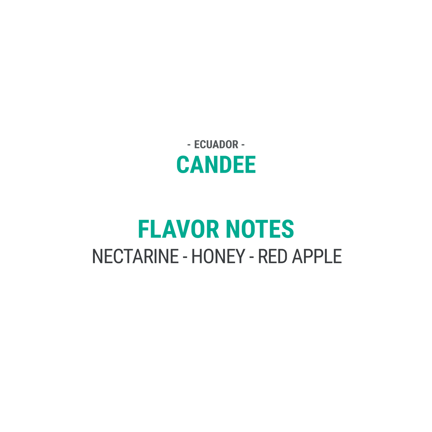 Candee - Cypher Urban Roastery