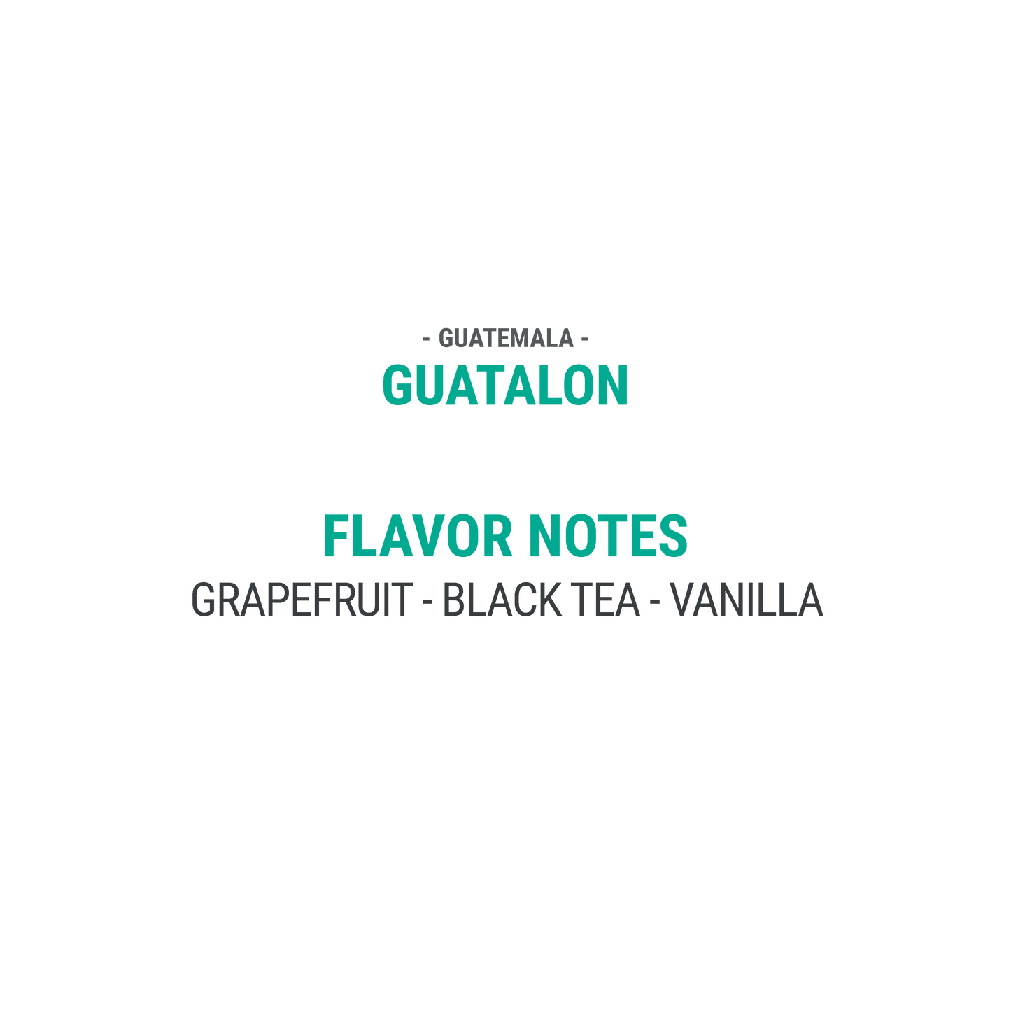 Guatalon - Cypher Urban Roastery