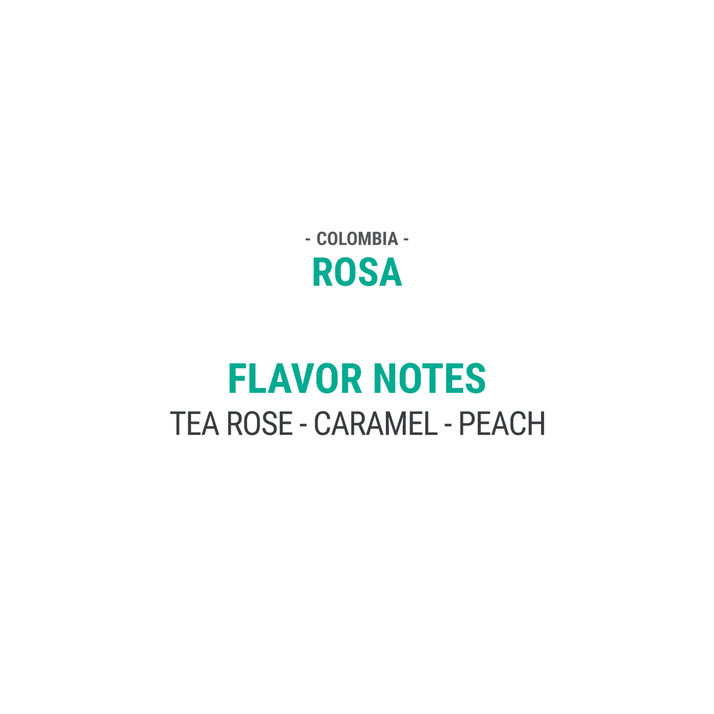 Rosa - Cypher Urban Roastery