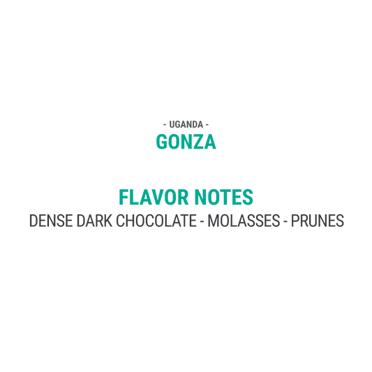 Gonza - Cypher Urban Roastery