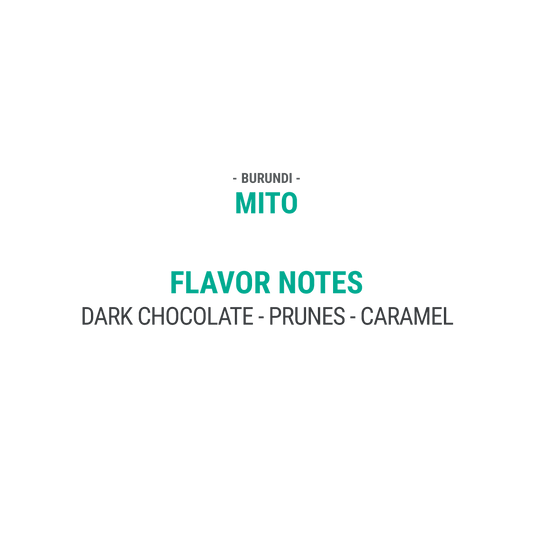 Mito - Cypher Urban Roastery