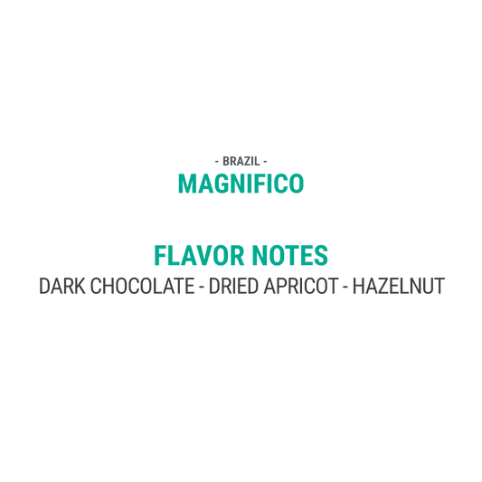 Magnifico - Cypher Urban Roastery