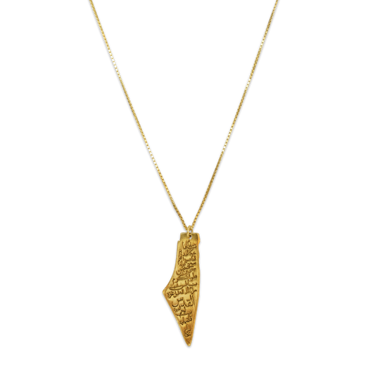 Palestine Map with Cities Engraved Necklace