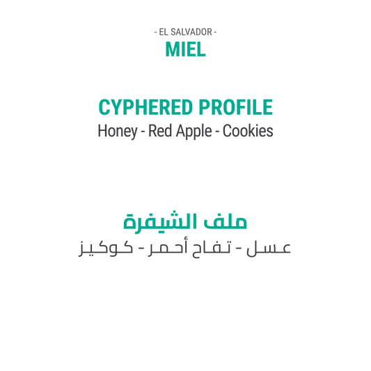 Miel - El Salvador - Cypher Urban Roastery