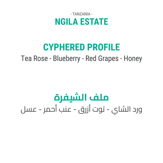 Ngila Estate - Tanzania