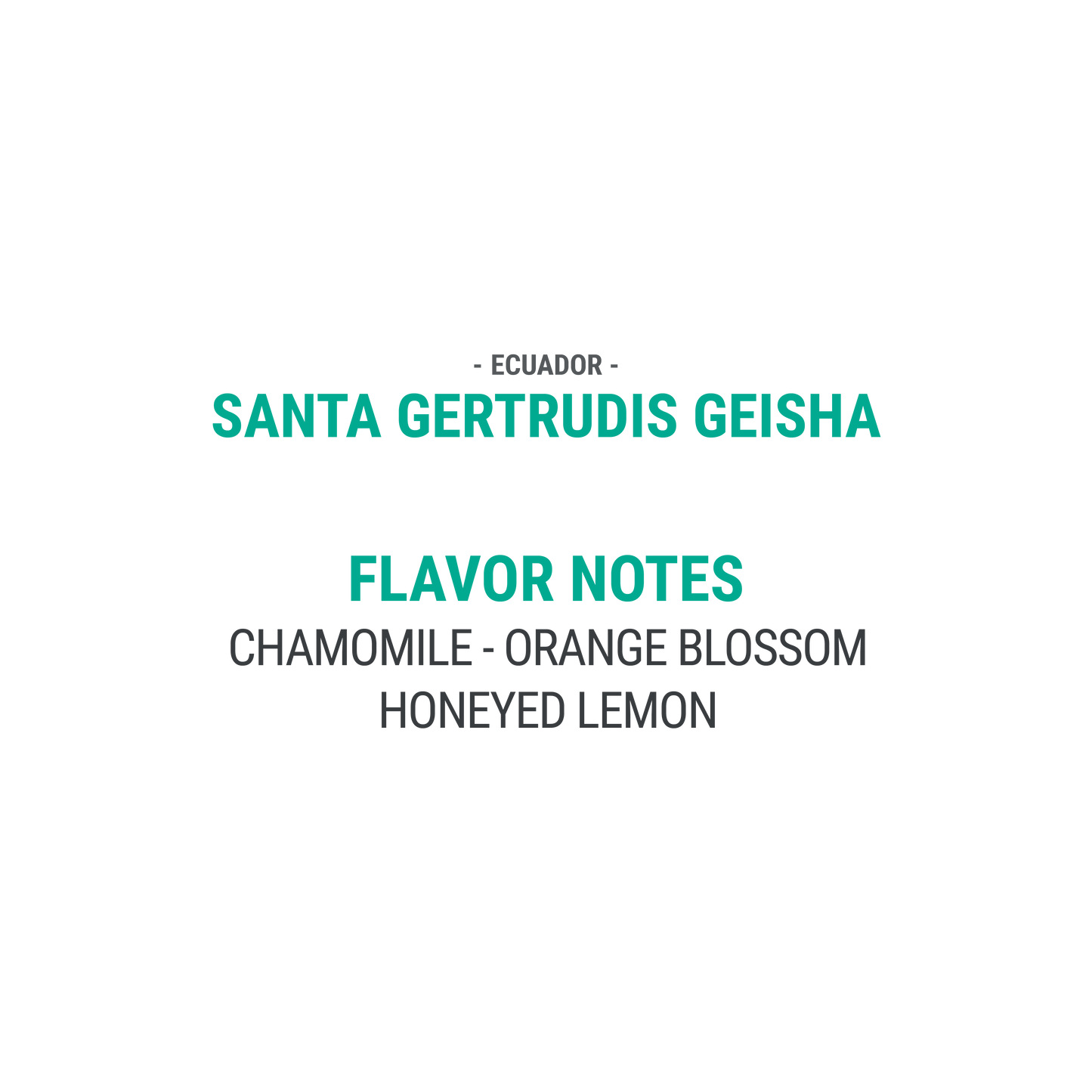 Santa Gertrudis Geisha - Cypher Urban Roastery