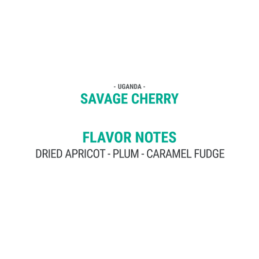 Savage Cherry - Cypher Urban Roastery