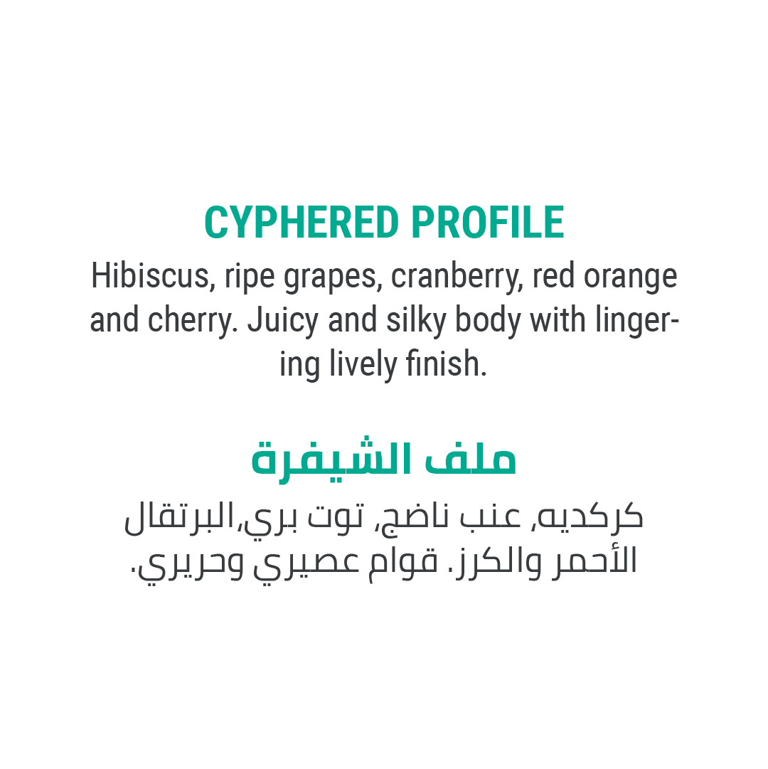 صــنــدوق قــهــوة الــنــخبــة
