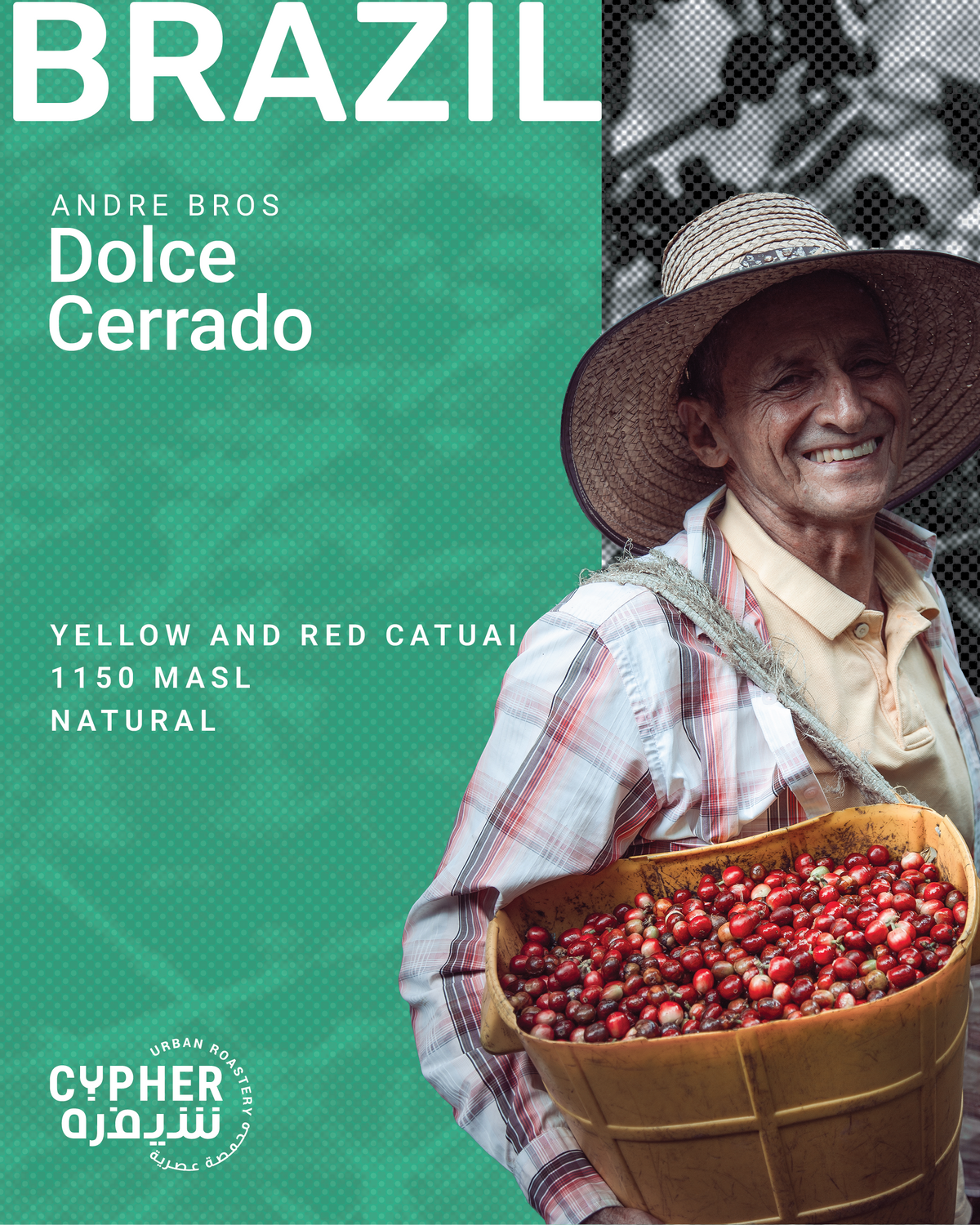 DOLCE CERRADO
