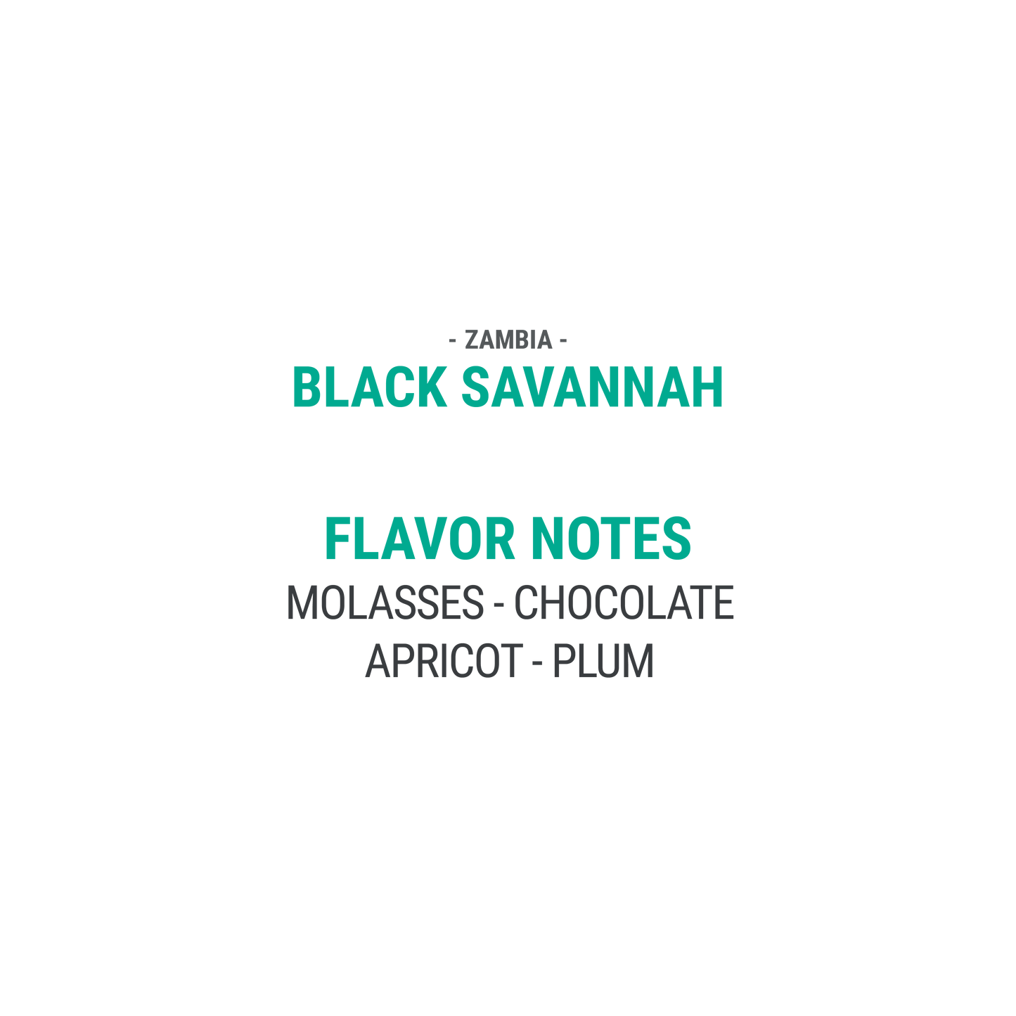 Black Savannah - Cypher Urban Roastery