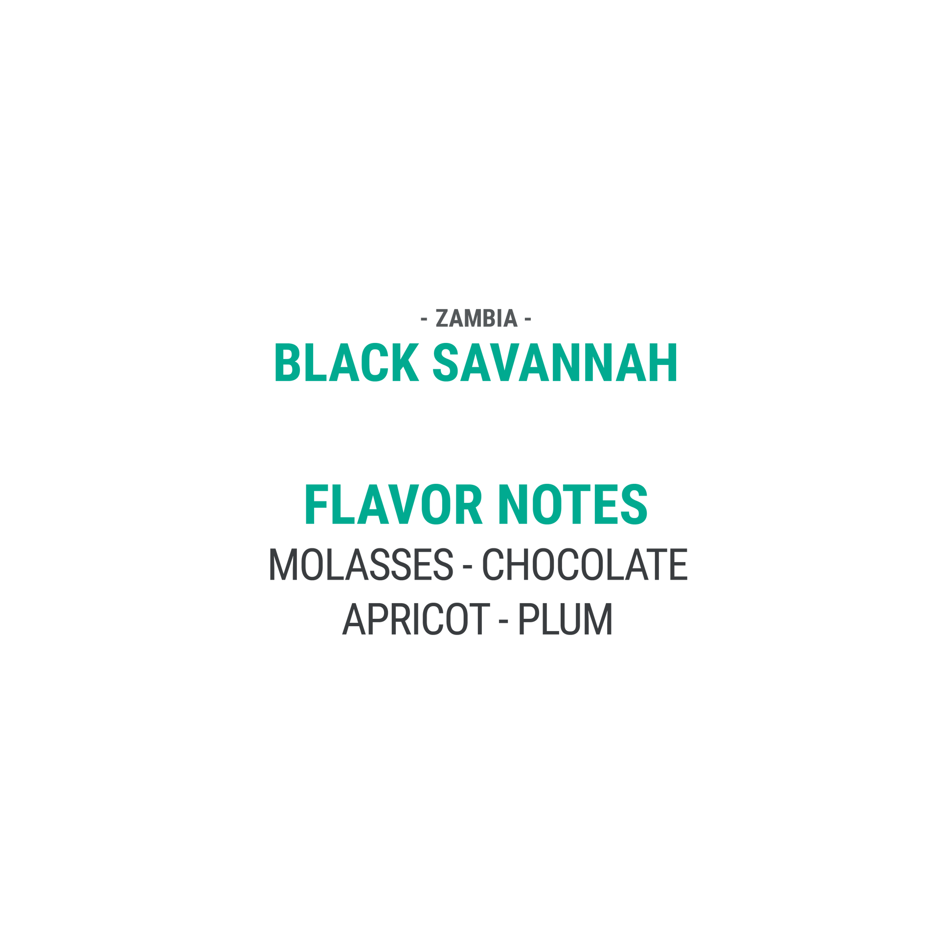 Black Savannah - Cypher Urban Roastery