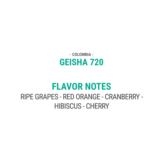 GEISHA 720