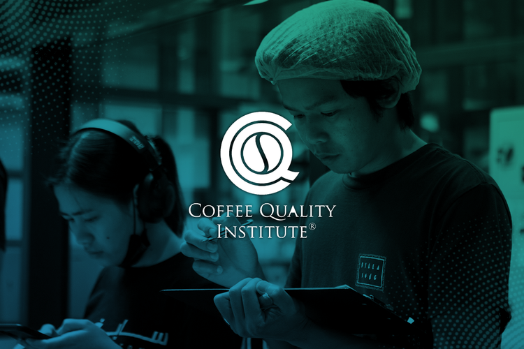 Coffee Quality Institute Cypher Urban Roastery