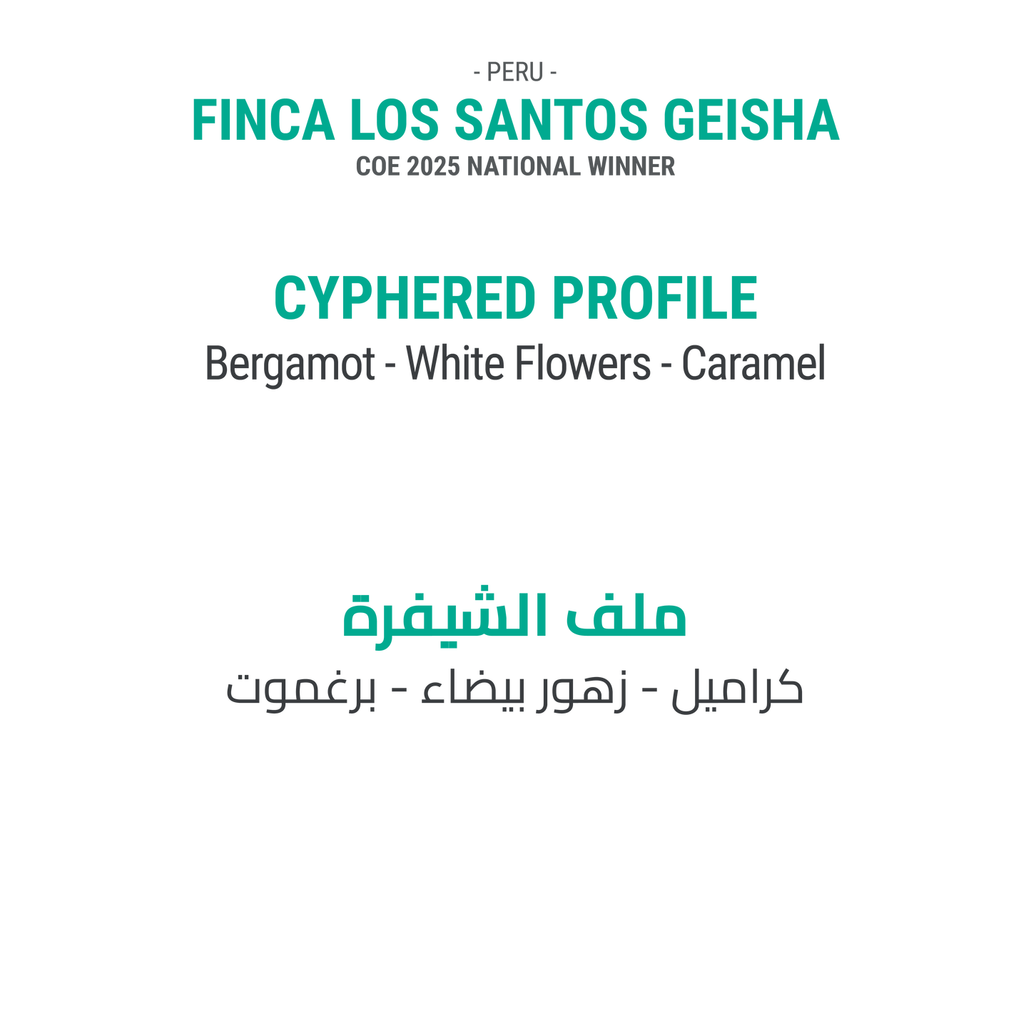 Finca Los Santos Geisha - Peru - Cypher Urban Roastery