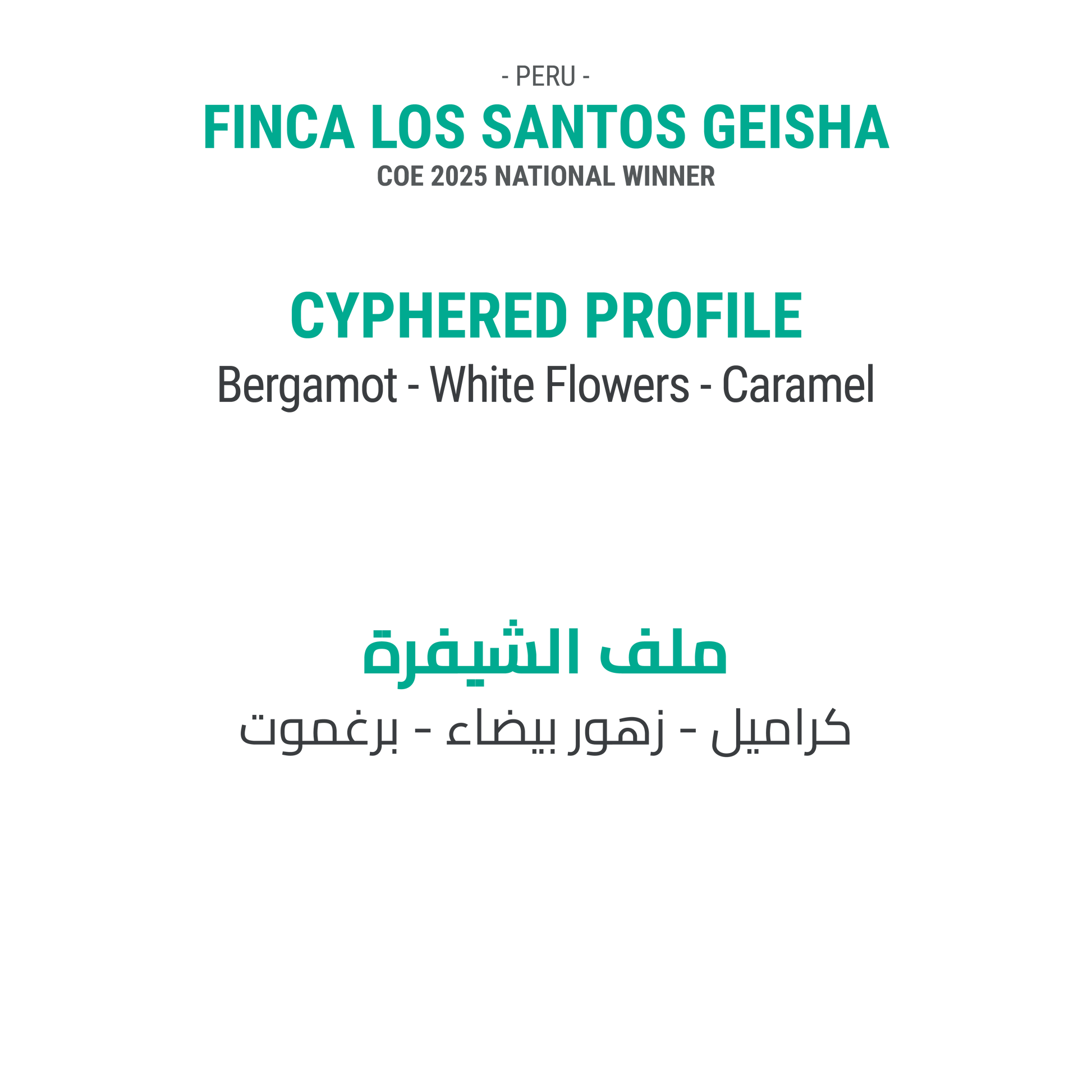 Finca Los Santos Geisha - Peru - Cypher Urban Roastery