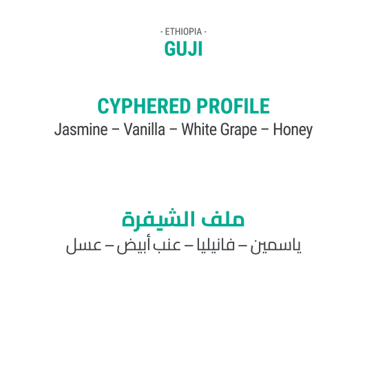 غوجي - أثيوبيا