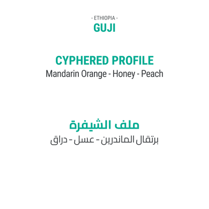 صــنــدوق قــهــوة الــنــخبــة