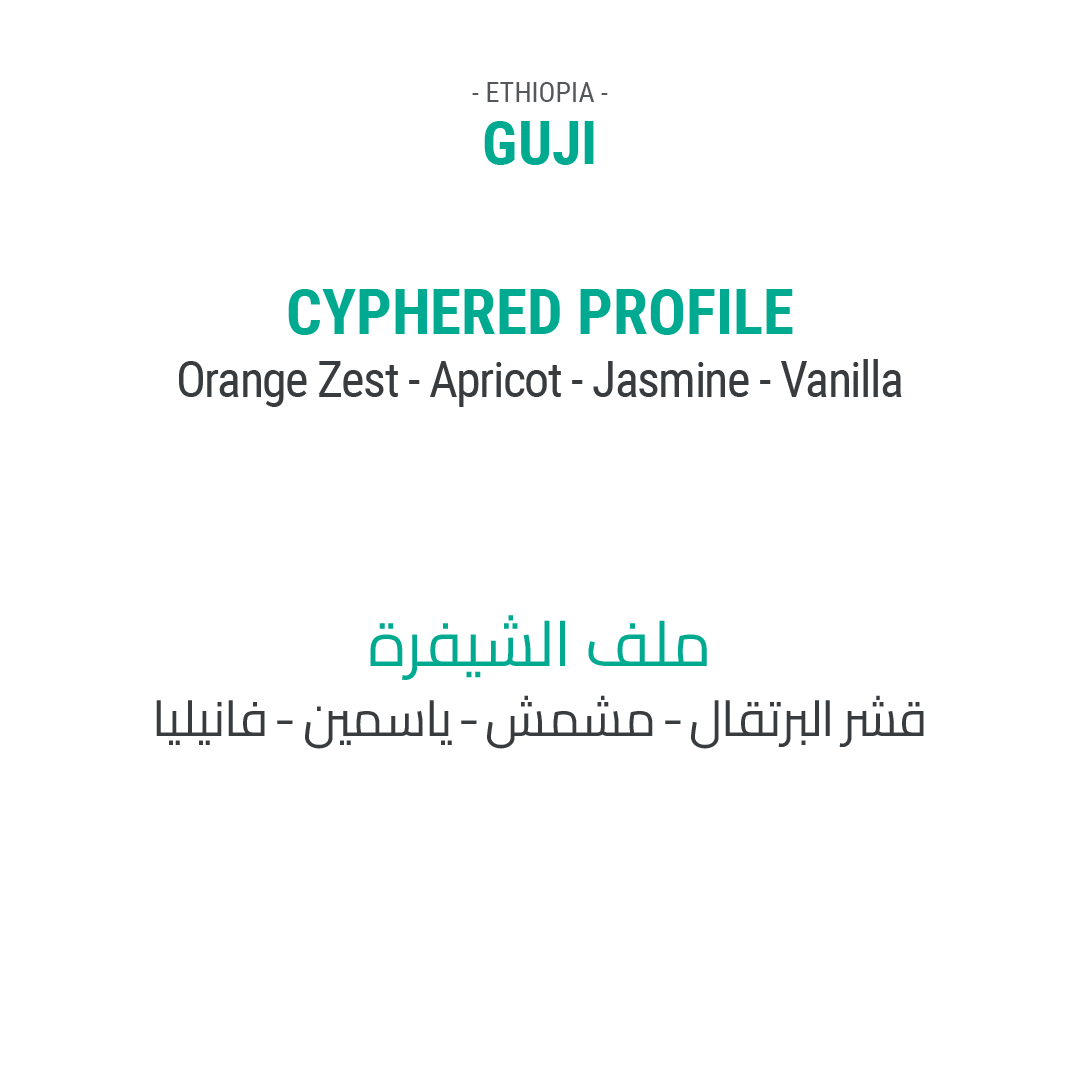 صــنــدوق قــهــوة الــنــخبــة
