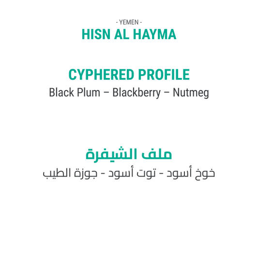 Hisn Al Hayma - Yemen