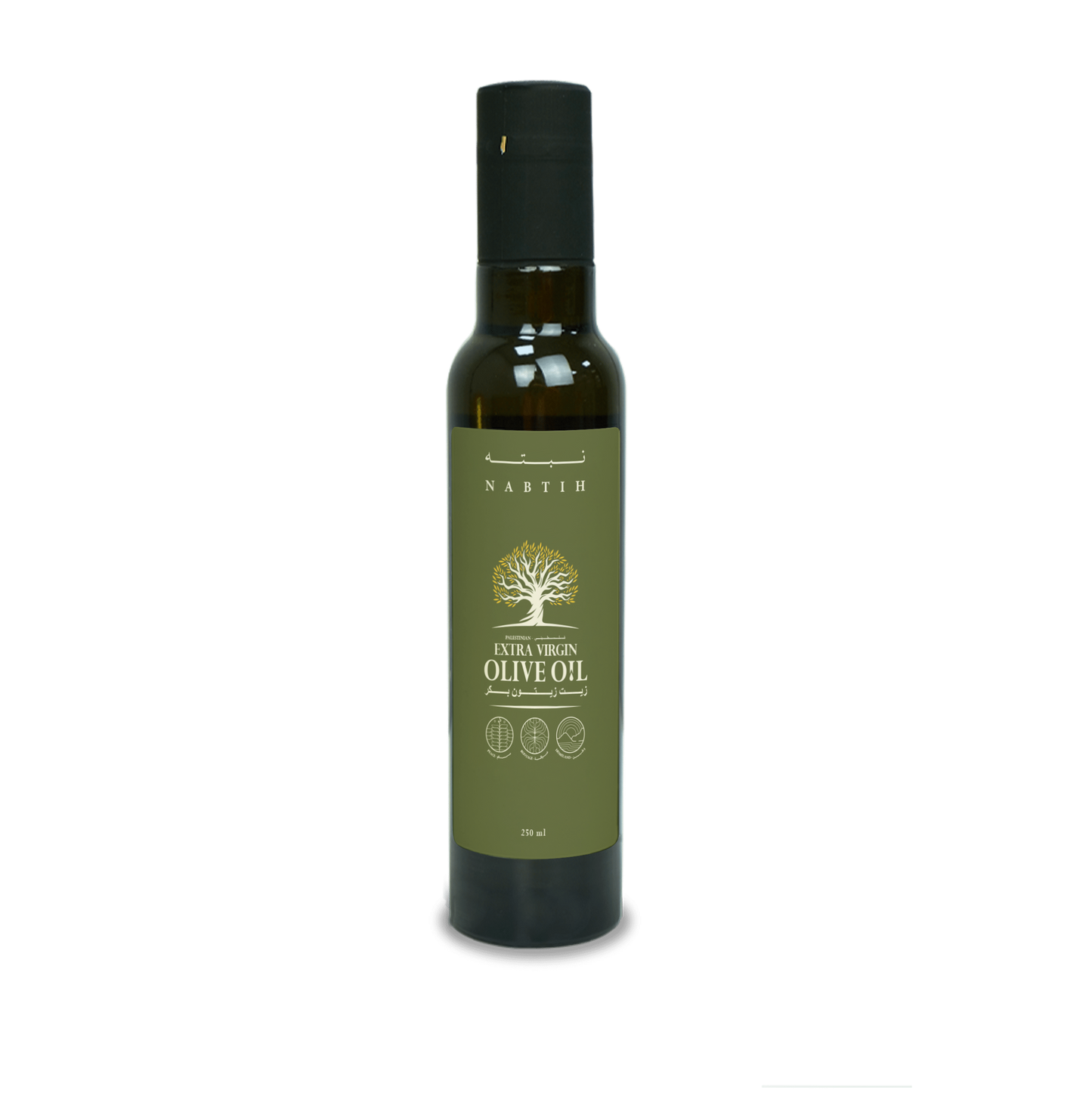 Olive & Bar