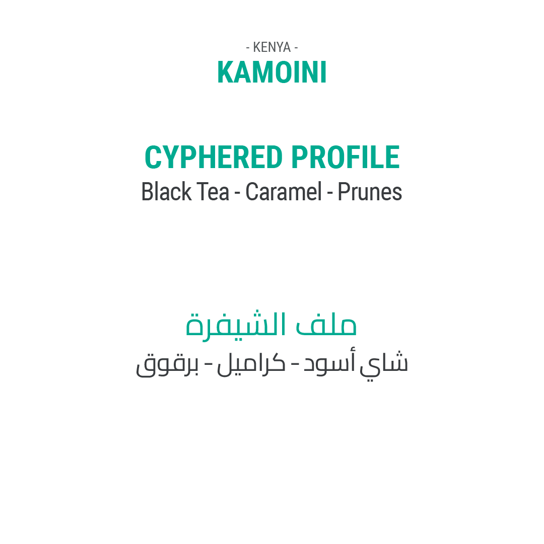 غيشيشي