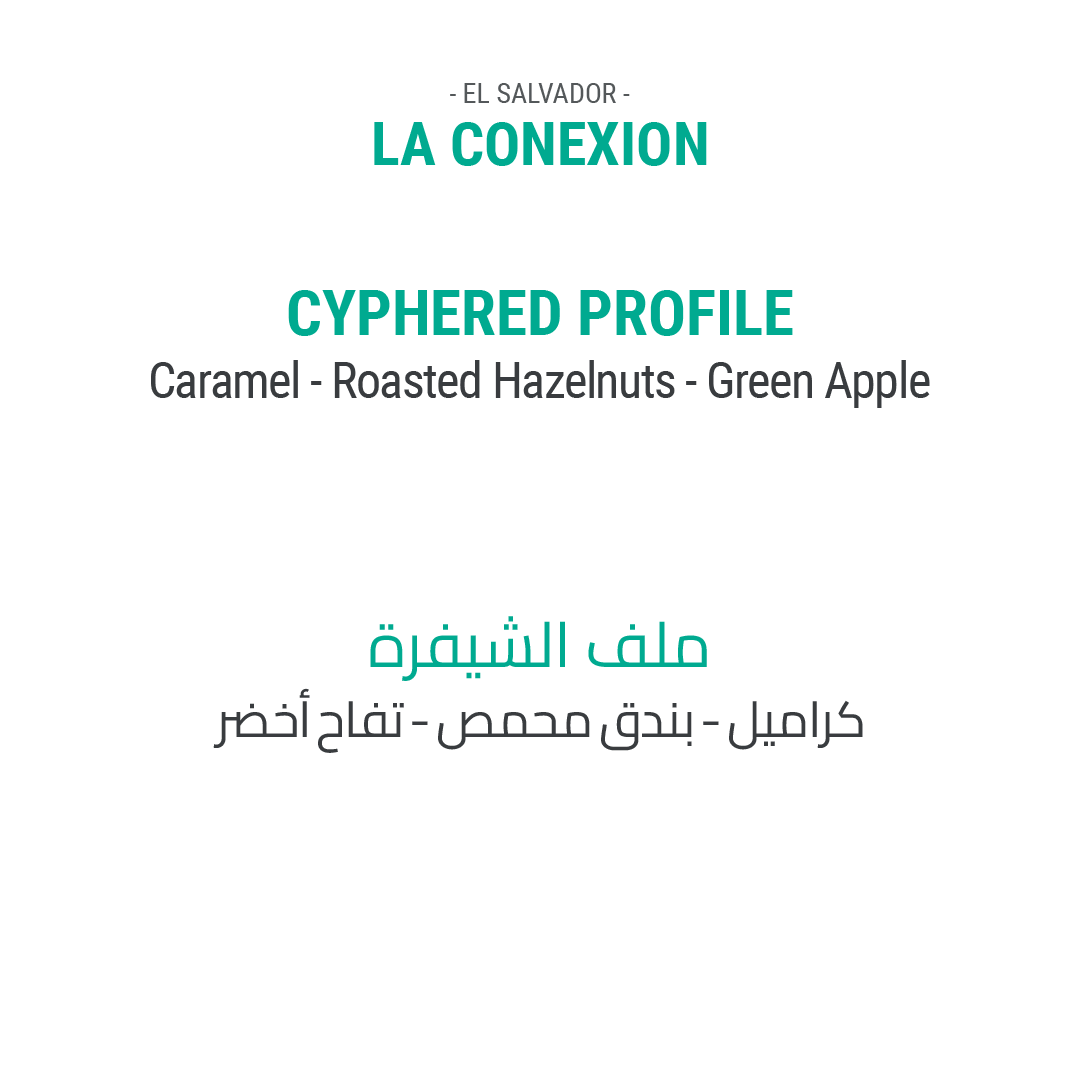 لا كونيكسيون - السلفادور