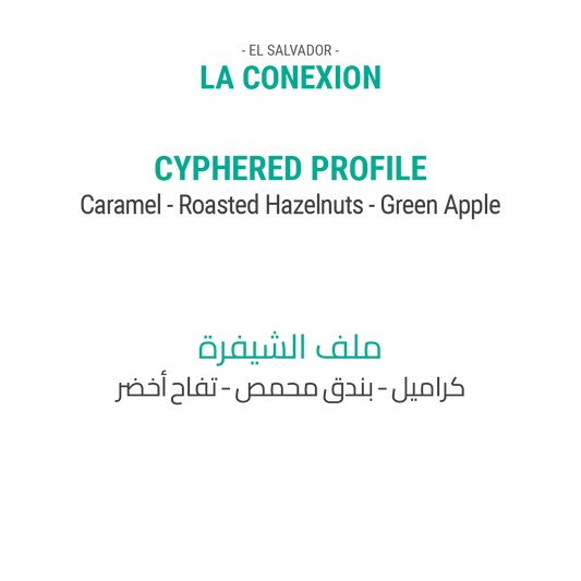 لا كونيكسيون - السلفادور