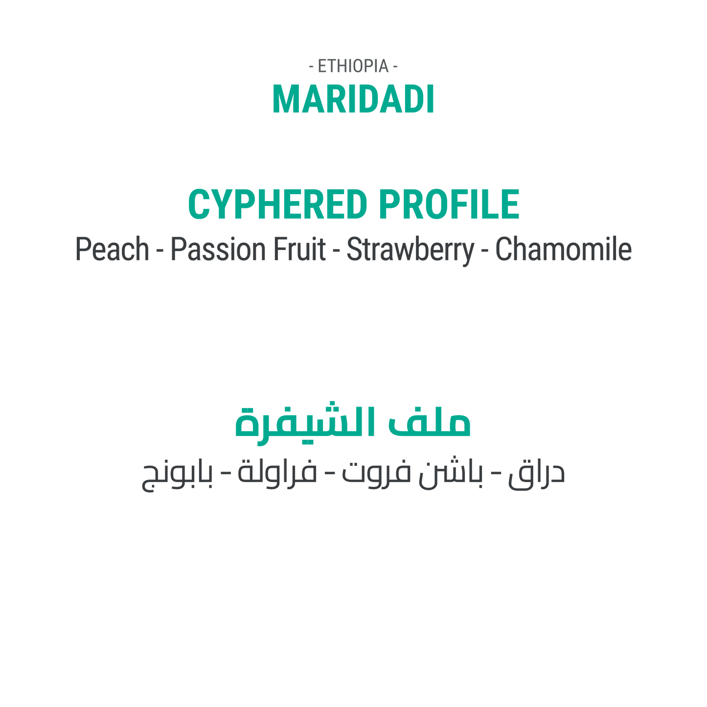 صــنــدوق قــهــوة الــنــخبــة