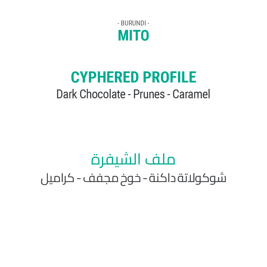 ميتو