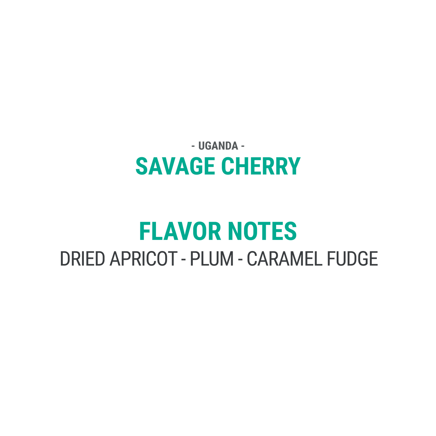Savage Cherry - Cypher Urban Roastery