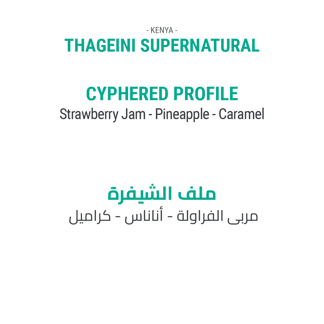 ثاجيني سوبرناتورال - كينيا