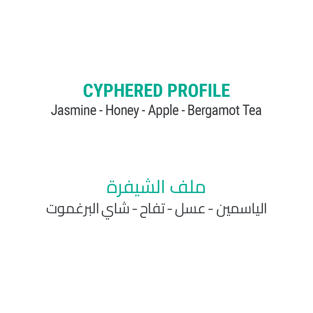 TRIPPI - Cypher Urban Roastery