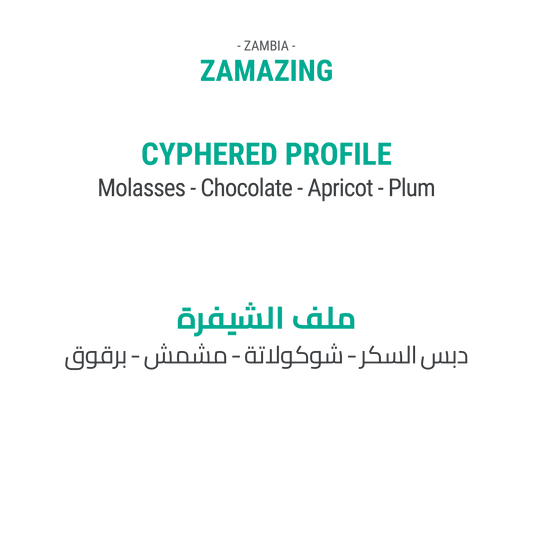 Zamazing - Zambia