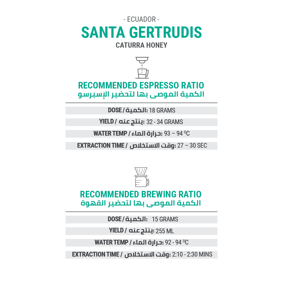 Santa Gertrudis Caturra Honey - Cypher Urban Roastery