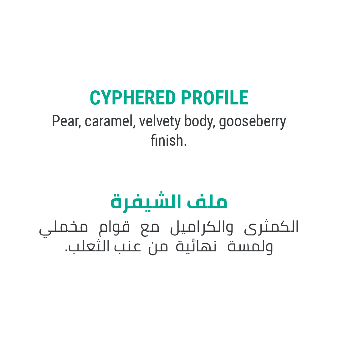 Don Sidra - Cypher Urban Roastery