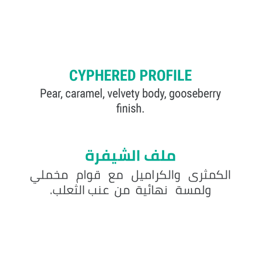 Don Sidra - Cypher Urban Roastery