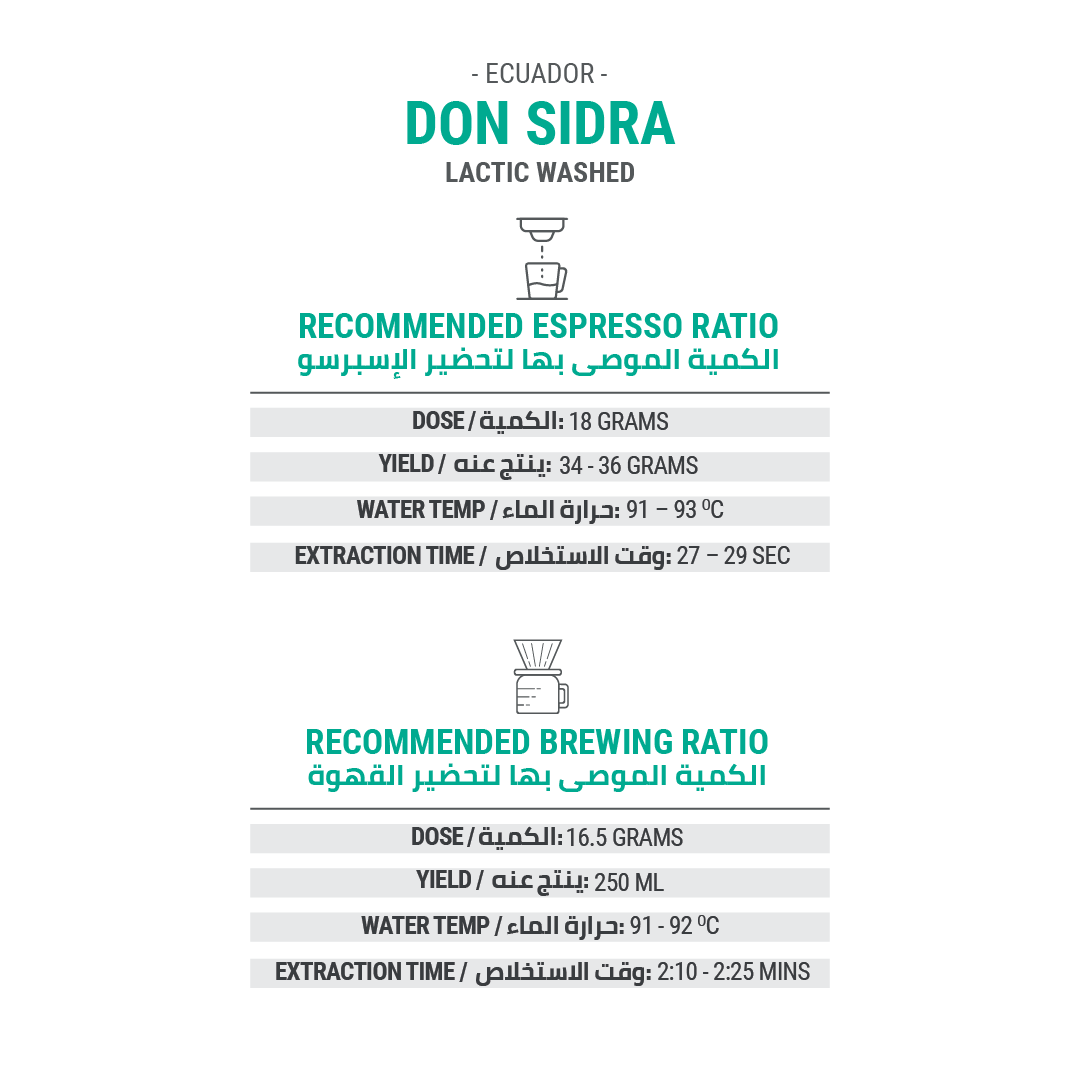 Don Sidra - Cypher Urban Roastery