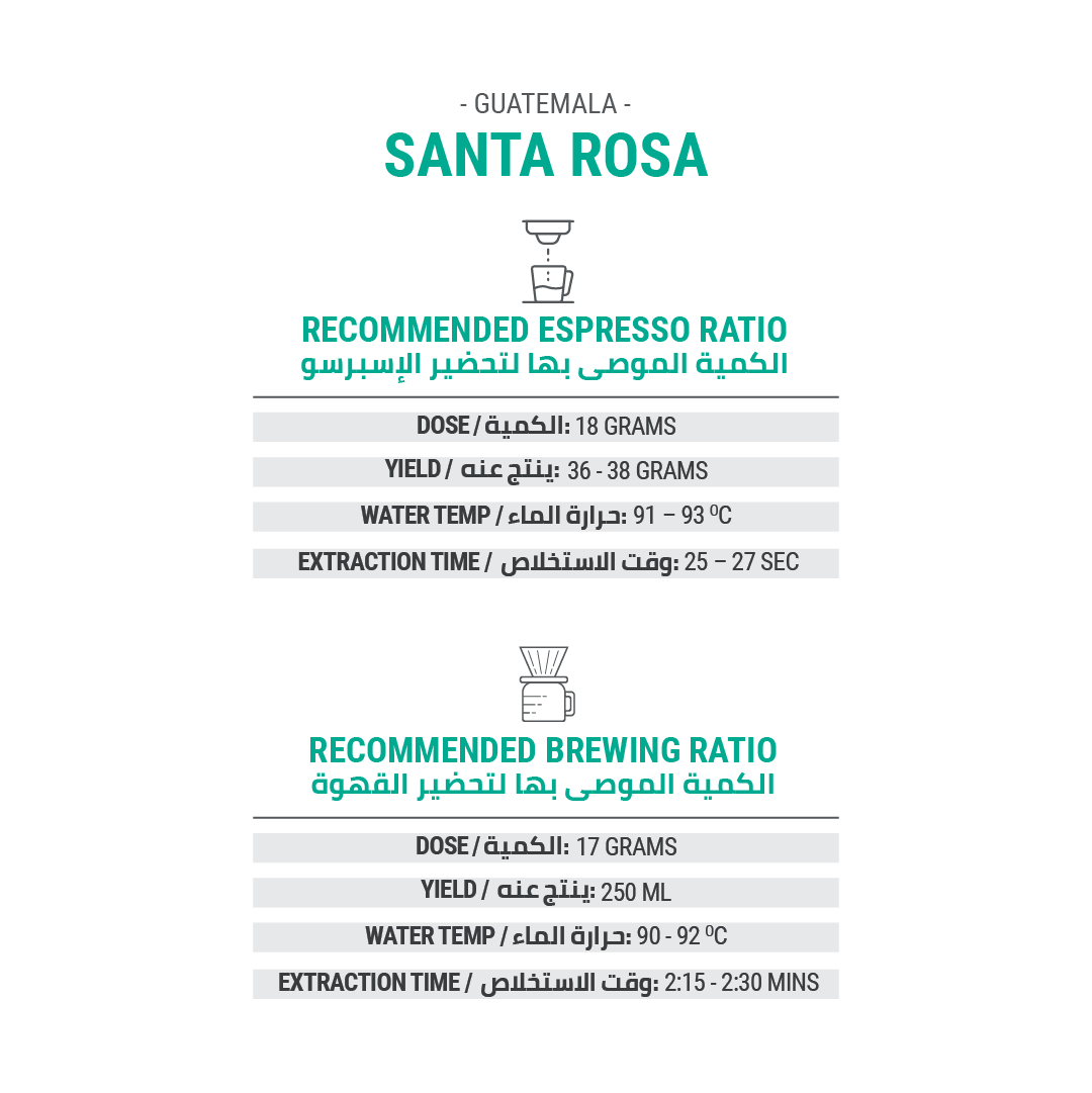 SANTA ROSA - Cypher Urban Roastery