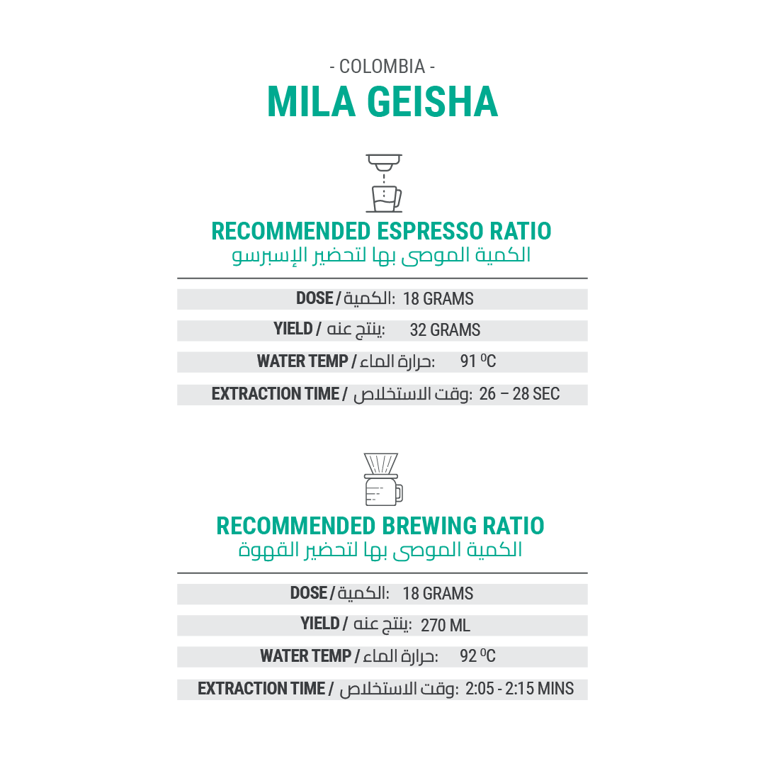 MILA GEISHA - Cypher Urban Roastery